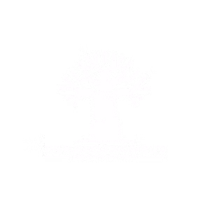 bb.fosker.co.za